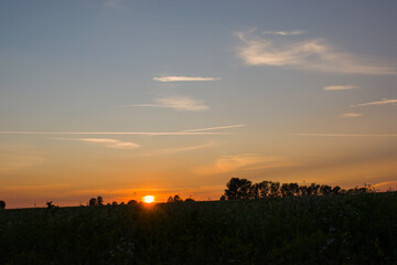 Fototapeta premium sunset over the countryside