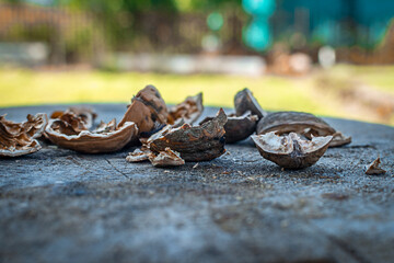 Broken walnut shells lying on a wooden surface. Outdoor side view. Selective focus