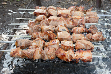grilled pieces  on skewers