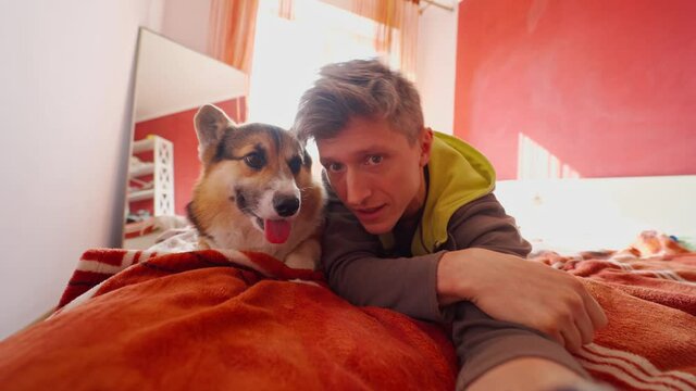 POV smiling man lying in bedroom on bed with his adorable and funny Welsh Corgi dog and taking selfie with him, or making video call. man draws dog's attention to camera and waving hand