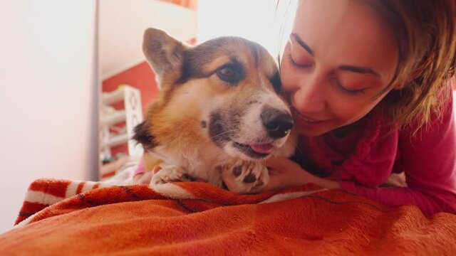 happy joyful woman lies on bed with her adorable and funny Welsh Corgi dog, stroking him, playing with his paws and kissing him. girl shows love and pet care