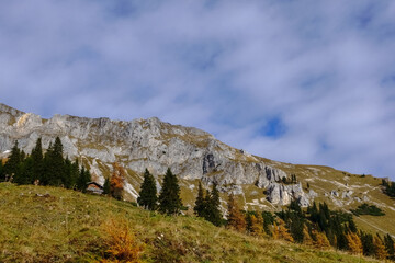 mountain landscape with colorful trees and soft clouds