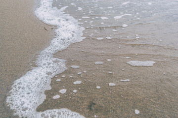 bird footprints in the wet sand of the beach