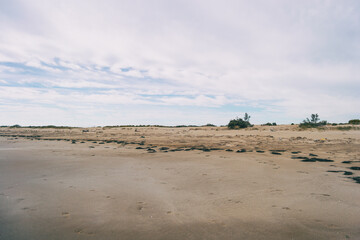Lonely beach in the delta del ebro, tarragona, spain.