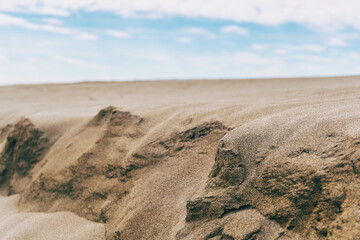 Lonely dunes in the Ebro delta, Tarragona, Spain.