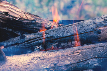 Bonfire, burning tree in the fireplace, orange flame of a fire
