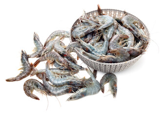 shrimps on a white background 