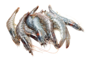 shrimps on a white background 