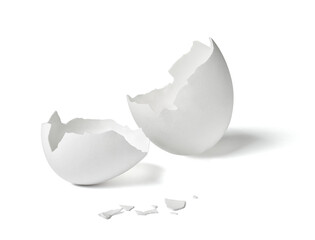 egg shell food white breakfast ingredient fragile protein half chicken part easter broken eggshell...