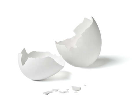 egg shell food white breakfast ingredient fragile protein half chicken part easter broken eggshell cracked