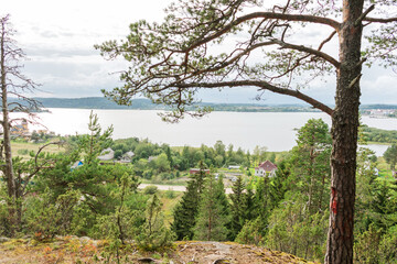 Lake Ladoga, forest, beautiful landscape