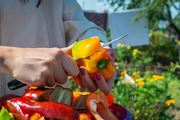 Hands of a young woman with a knife cut ripe capsicum outdoors. Cooking fresh, ripe, bell pepper salad during a picnic. Summer fresh vegetable salad