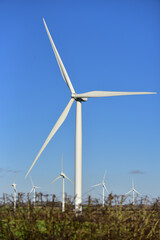 A large windmill against a blue sky, with other windmills in the background.