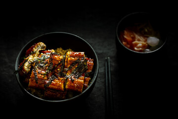 Japanese cuisine of Grilled eel