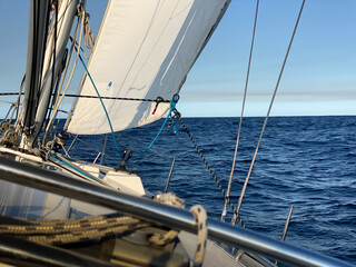 Yacht sailing away from the heads of Sydney Harbor, on a calm and sunny day. View from the boat's cockpit over into the horizon, with calm blue ocean and sky ahead. No land in sight.