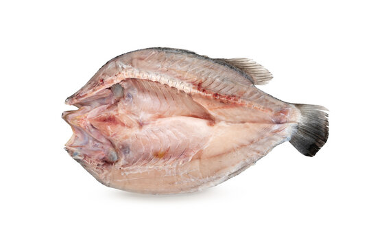 Asian Sliced Sea Bass Fish On White Background