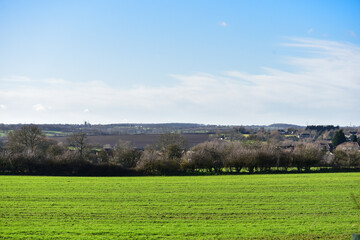 Landscape with green field and blue sky.
