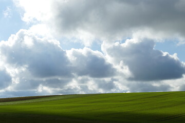 Grüne Felder mit Cumuluswolken