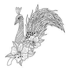 Fototapeta na wymiar Hand drawn of peacock in zentangle style