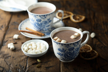 Fototapeta na wymiar Homemade hot chocolate with marshmallow