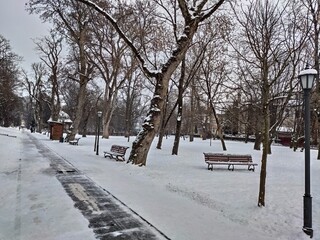 ROMANIA,winter landscape in Park, Bistrita ,January 2021