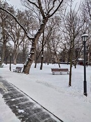 ROMANIA,winter landscape in Park, Bistrita ,January 2021