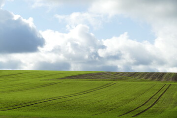 Obraz premium Grüne Felder bis zum Horizont mit Wolkengebilden