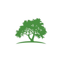 modern vector tree logo template