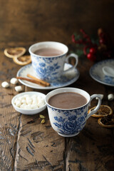 Fototapeta na wymiar Homemade hot chocolate with marshmallow