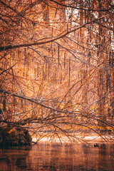 sunset over the river