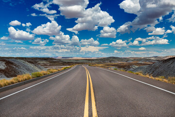 Scenic view of a road in the Petrified Desert National Park, in the State of Arizona, USA; Concept for travel in America and road trip