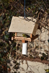 Vogelhäuschen mit Vogel