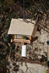 Vogelhäuschen mit Vogel
