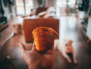Sweets for italy sfogliatella 
