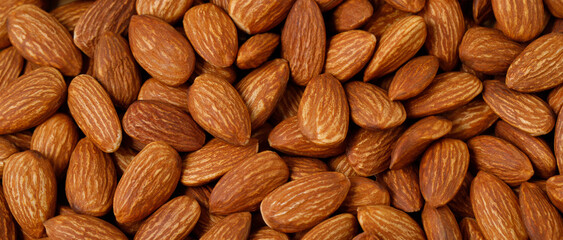 Pattern Organic almond nut raw peeled as background, top view. Healthy snack or for vegetarians. copy space banner.