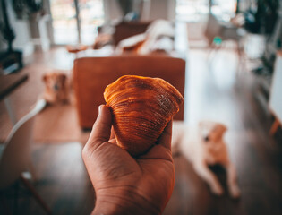 Sfogliatella Napoli  on the street