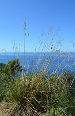 Blick auf das Meer in der Nähe von Illetas bei Port de Sóller, Mallorca, Spanien