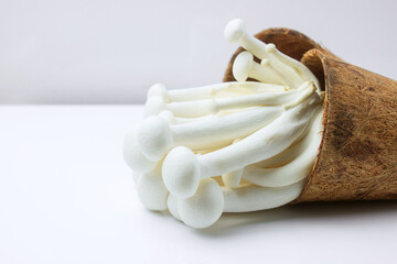 Shimeji mushroom or White beech mushroom isolated on white background.