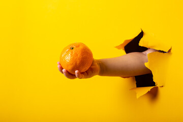woman's hand holding fresh mandarin on a torn yellow background