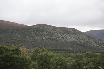 Scotland landscape in the summer