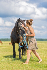 A young beautiful girl puts a halter on a horse on the field.