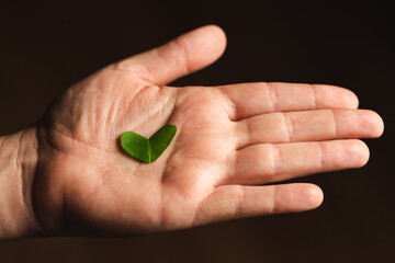 hand holding a heart-shaped piece of a plant leaf