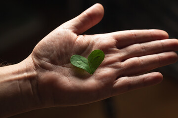 hand holding a heart-shaped piece of a plant leaf