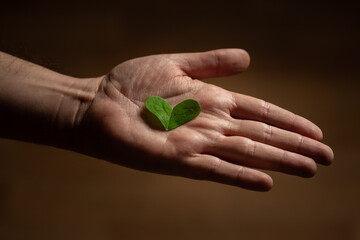 hand holding a heart-shaped piece of a plant leaf