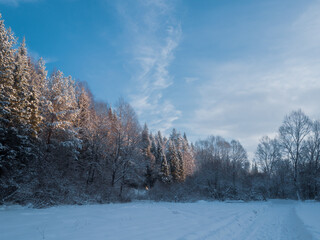 Snowy road and conifer forest on a frosty sunny evening. Winter country road with fir forest in the rays of cold winter Sun.