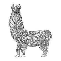 Hand drawn of ilama in zentangle style