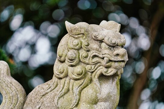 伝統の日本の神社の狛犬