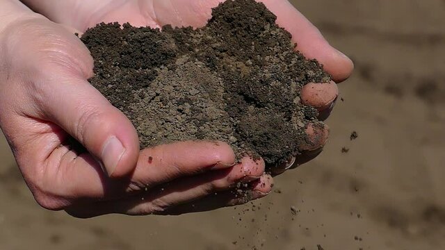 Male hands pouring a fertile soil in the agricultural field. Agronomist testing a quality of soil. Concept of agriculture, before planting and growing plants, slow motion