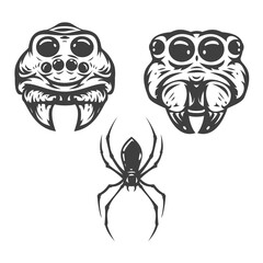 Cartoon hand drawn spider head isolated on white background. Design minimalistic element for logo, badge, icon. Vector illustration.