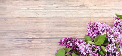 Lilac flowers on rustic wooden background. Top view, flat lay, copy space. Spring concept. Banner.